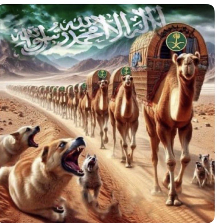 MBSKSA2026's tweet photo. @Abdulelah_ha @hsom67 هذا من ضمن مجموعة الكلاب حتى وجهه وجه كلب ولكن نقول له ومن هو على شاكلته https://t.co/8ASfqK1ivy