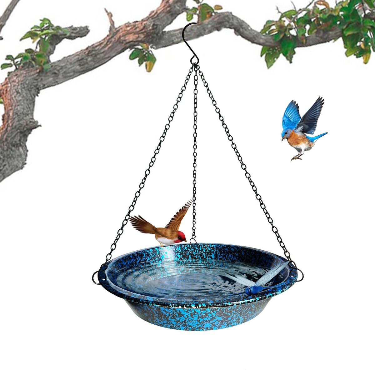 woertehome's tweet photo. 11.4" Hanging Bird Bath & Feeder Blueblack Metal Garden Decor. , . Visit. USD 24.99.
#HangingBirdBath #MetalGardenDecor #BirdFeeder #GardenDecor #PatioDecor #LawnOrnament #BlueblackMetal #BirdLoverGift https://t.co/i599tVku6n