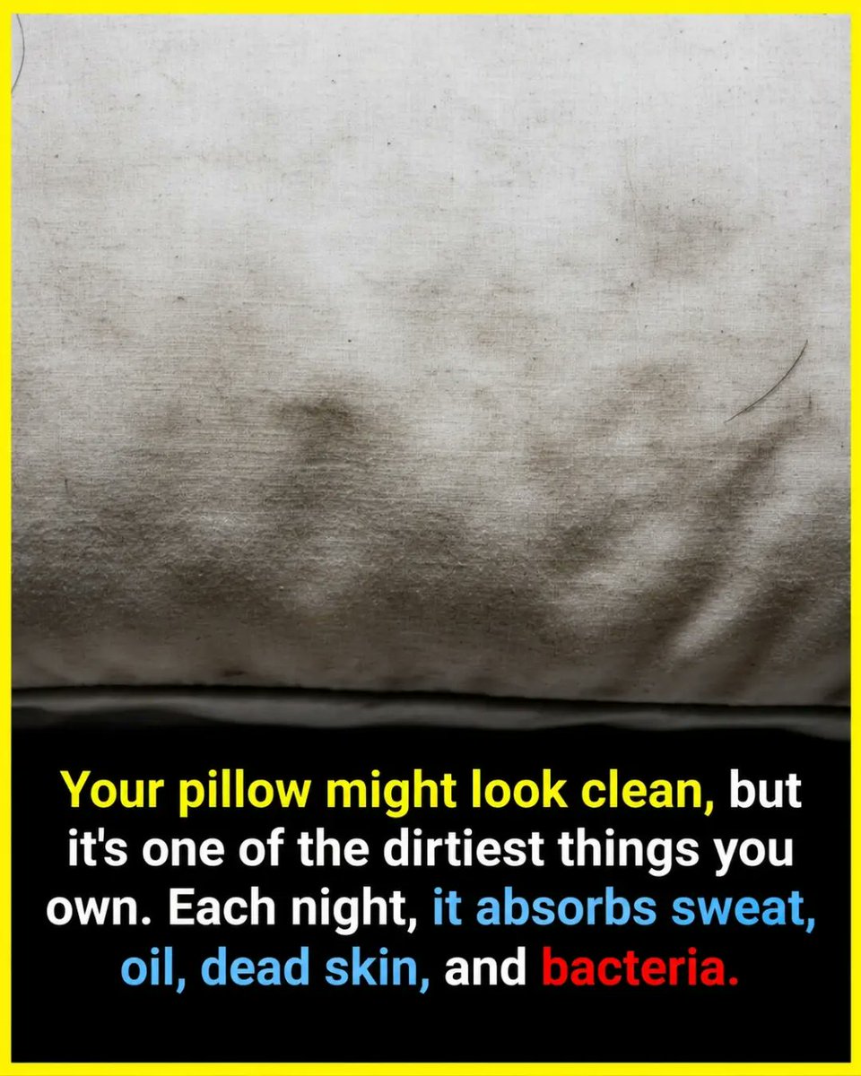 williamlopezhbl's tweet photo. Research shows that UV rays from sunlight can eliminate up to 90% of bacteria and dust mites in bedding. Weekly sun exposure may help reduce acne, improve sleep, and ease allergies—without chemicals. https://t.co/oxOYzLg6Yj