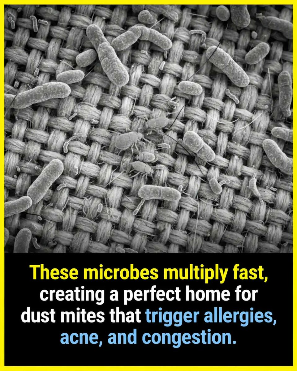 williamlopezhbl's tweet photo. Research shows that UV rays from sunlight can eliminate up to 90% of bacteria and dust mites in bedding. Weekly sun exposure may help reduce acne, improve sleep, and ease allergies—without chemicals. https://t.co/oxOYzLg6Yj