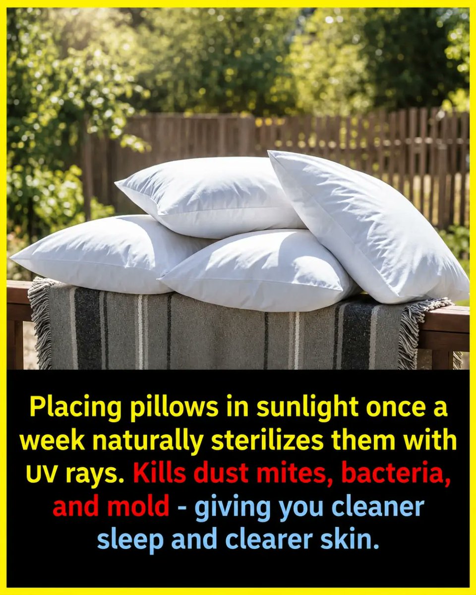 williamlopezhbl's tweet photo. Research shows that UV rays from sunlight can eliminate up to 90% of bacteria and dust mites in bedding. Weekly sun exposure may help reduce acne, improve sleep, and ease allergies—without chemicals. https://t.co/oxOYzLg6Yj