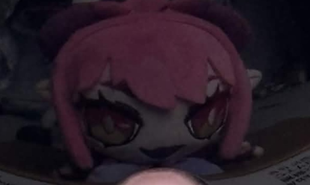 pro_speakman's tweet photo. @GrapeChann What I see at night when I look under the bed (she's just napping there) https://t.co/G5aVoMMkQc