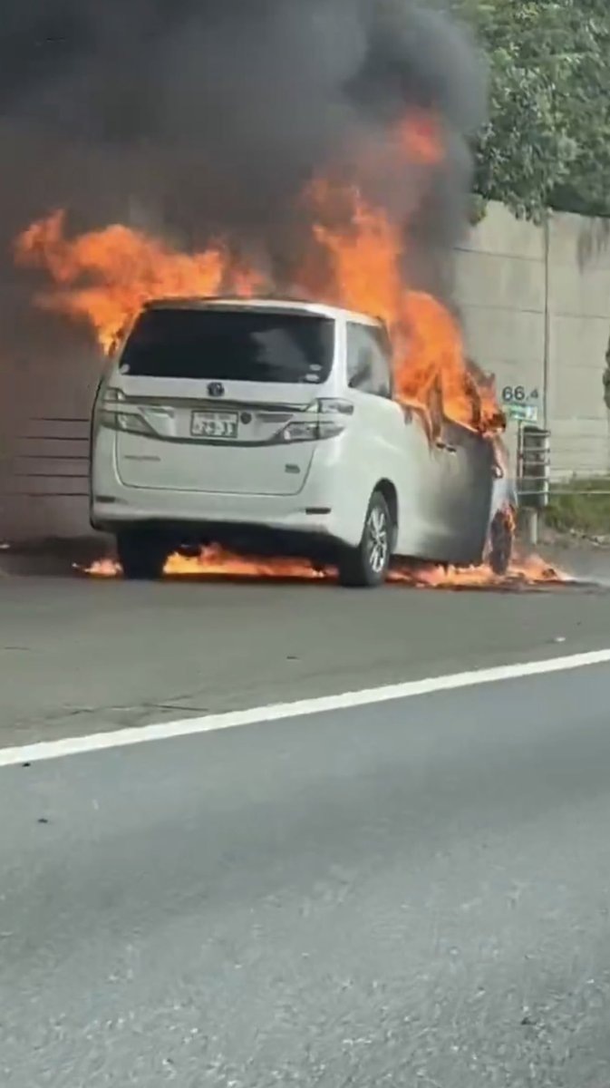 Izumi_Sunagawa's tweet photo. 関越道で炎上した車の現場。
そこにはPTI（パキスタン正義運動）の旗を持つ外国人男性の姿が。

なぜ日本の高速道路で、パキスタンの政党旗を持っていたのか？
この人物が何者なのか、気になるところだ。 https://t.co/wzm4y88UUr