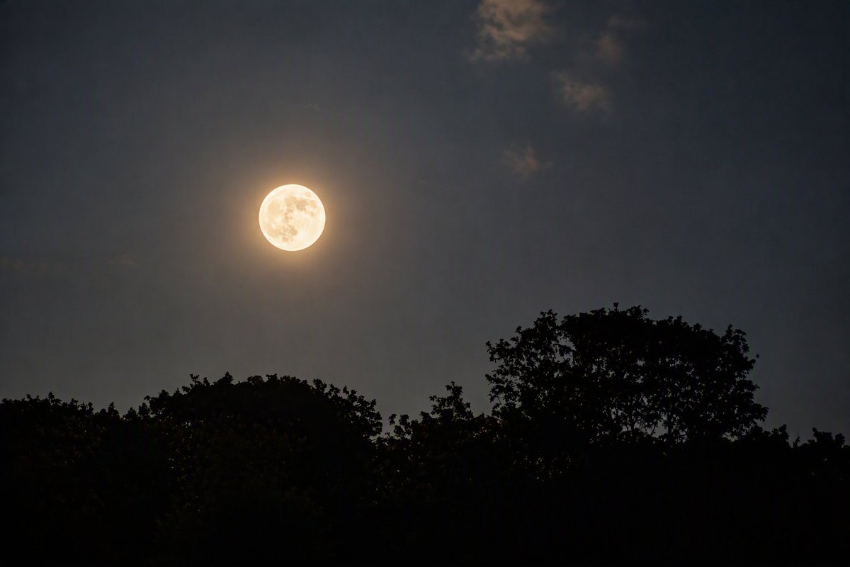 GarethJonesCWL's tweet photo. The moon doesn't compete for attention.
It simply rises, shines, and reminds the world that quiet things can still be extraordinary.
🌕 North Wales

@googlepixel Pro 8 🤳

#moonlight
               https://t.co/GLCNo2KNeP https://t.co/3XrnRLIChH