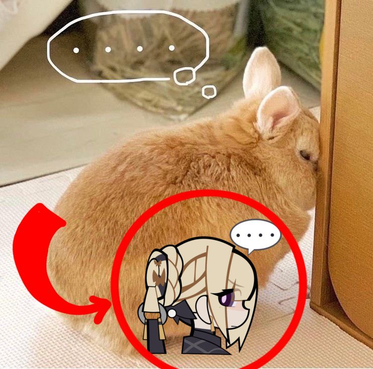 EvelynTimely's tweet photo. Happy international bunny day! https://t.co/cdtHtBJwDT