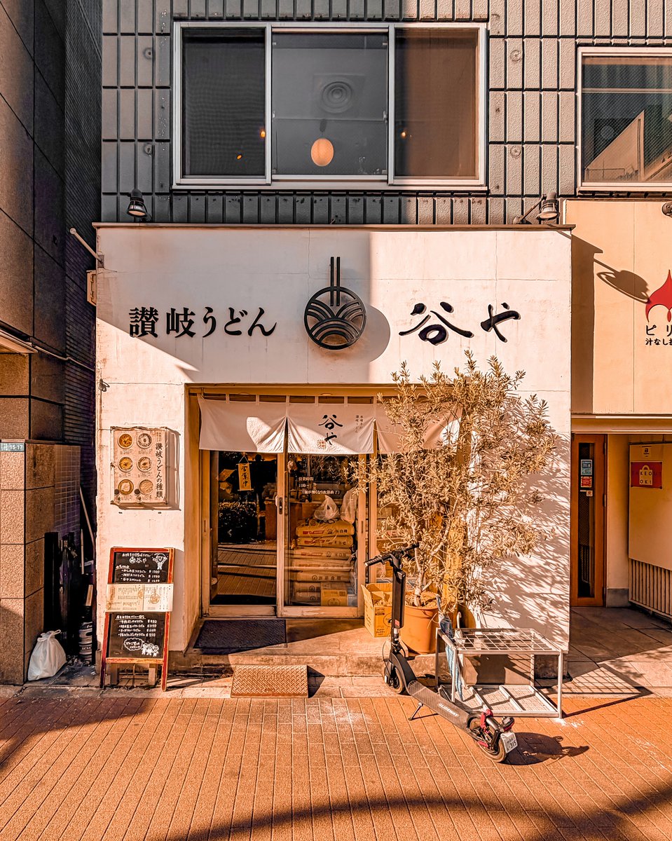 chloemooretbogk's tweet photo. From Bakurocho, this udon shop was conveniently on the way to Tokyo Station. In the afternoon, there were few people, so I only waited about 10 minutes. The chef’s handmade udon could be watched up close. I ordered cold udon with grated yam and https://t.co/AcqZLmbAr1