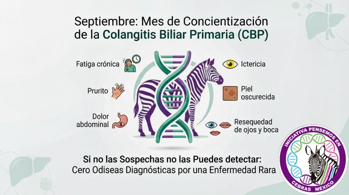 PCebras's tweet photo. #colangitisbiliarprimaria  #CBP enfermedad hepática crónica y autoinmune que destruye de forma progresiva los conductos biliares dentro del hígado, provocando acumulación de bilis y daño tisular. #EnfermedadesRaras #enfermedadesrarashepáticas #cbpday  #PiensaenCBP 🦓🦓🦓 https://t.co/6uFp9rV0m0