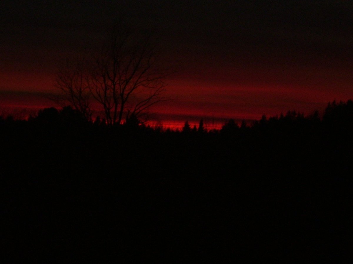 Wannaanimate26's tweet photo. Found these pictures on an old flash drive from my parents and I thought they looked eerie but cool https://t.co/XVBxMbGV6D