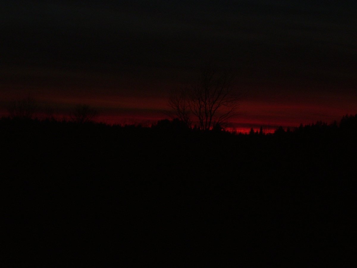 Wannaanimate26's tweet photo. Found these pictures on an old flash drive from my parents and I thought they looked eerie but cool https://t.co/XVBxMbGV6D