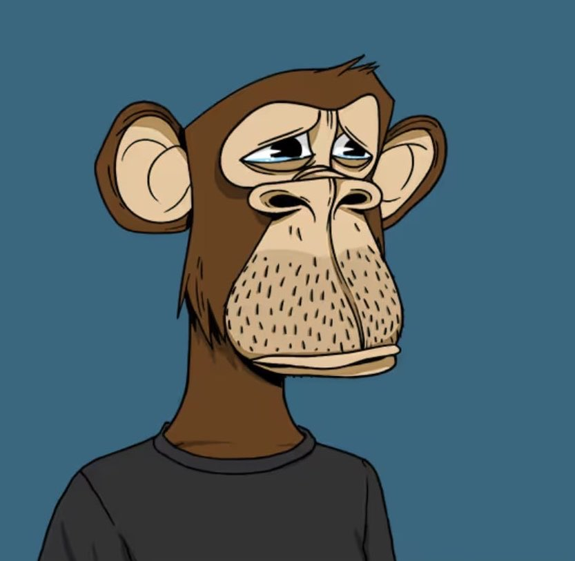 AshCrypto's tweet photo. Justin Bieber bought this Bored Ape NFT for $1.3 million in 2022.

Today it's worth $16,300. https://t.co/WJcUwqTnqJ