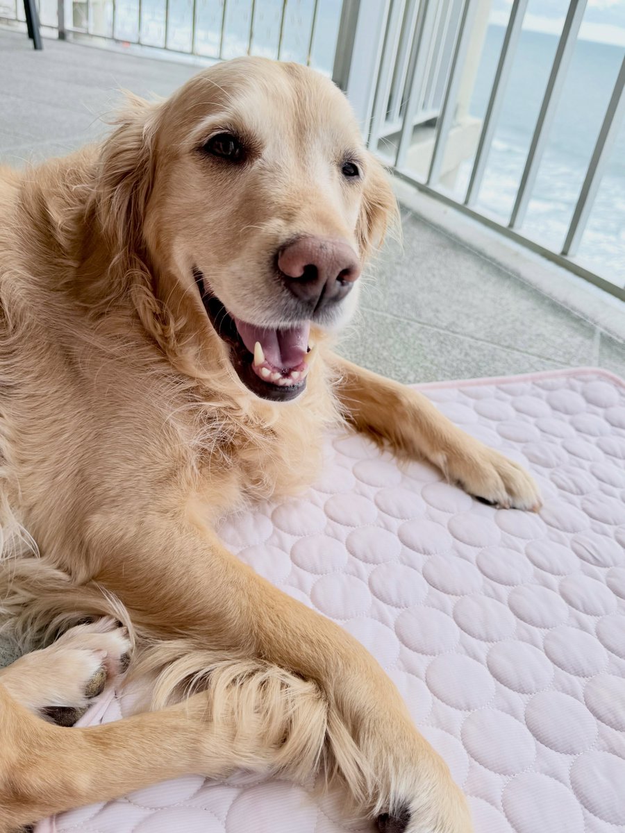 addisonrobgn57's tweet photo. Happy Sunday from the beach! It may be raining, but we’re still smiling! https://t.co/gxL4xPgIXx