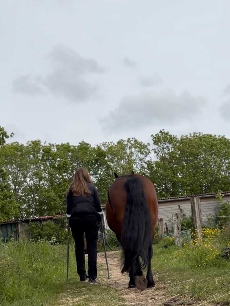 brooklynhellyq's tweet photo. Lucky to have you

As energetic as Bar can be, he’s being so patient with me right now. Bar is on a “grooming vacation, ” with the occasional lunging session. I always take extra time to reinforce the basics with my horses, including lunging. Bar https://t.co/A3mXGdl3jv