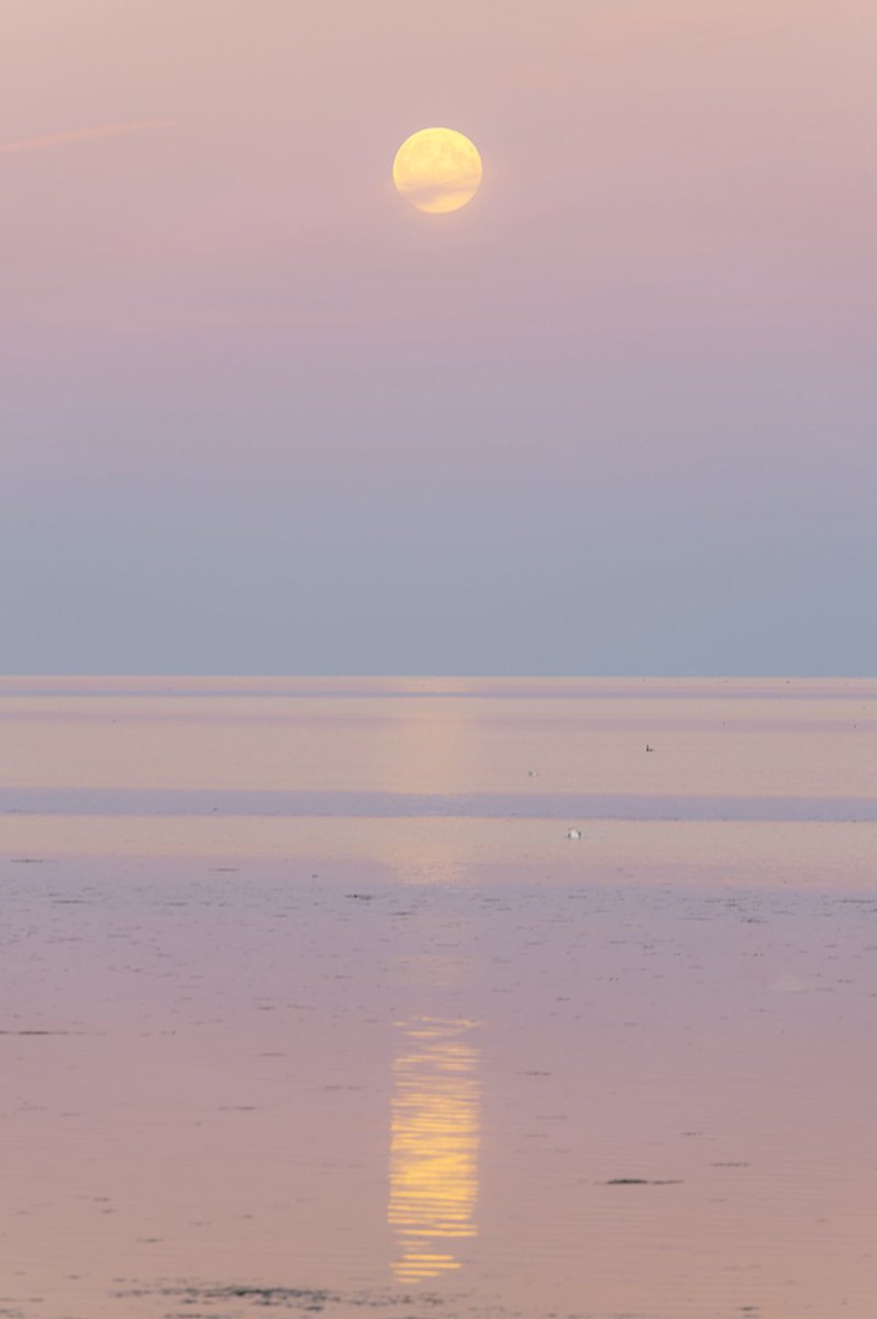 mariekeNFT's tweet photo. Find me here ❤️🌕 https://t.co/MYohb5jZK0