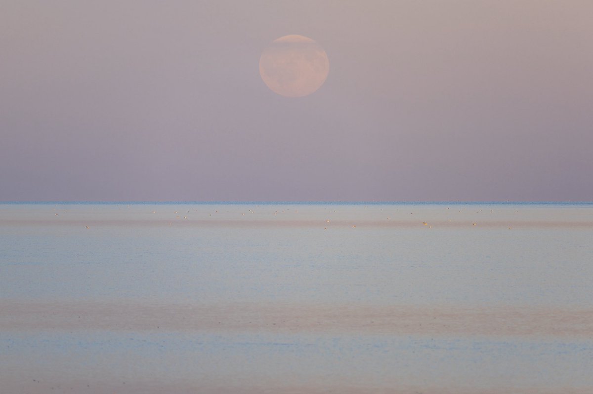 mariekeNFT's tweet photo. Find me here ❤️🌕 https://t.co/MYohb5jZK0