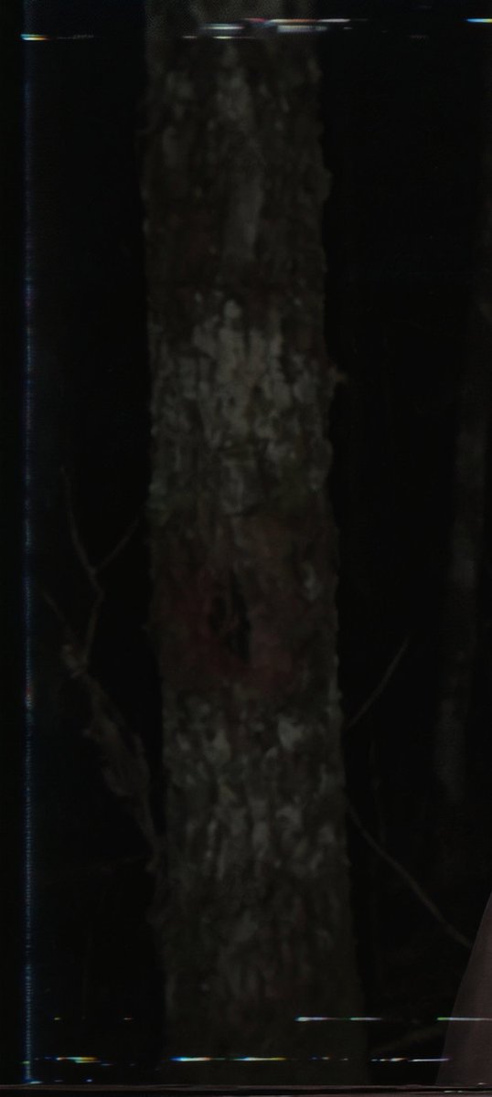 VxRender's tweet photo. Come closer, it’s safe here. https://t.co/sGtXavZG8m