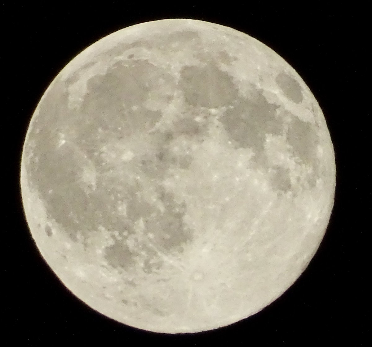 paddymorton's tweet photo. Harvest moon: aperture priority setting . @theskybyeye @ArmaghPlanet @kielder_obs @AstronomyIRL @CorkAstronomy @PaulCreaven @Jimbomcg987 @Zesman @lib_lab #keeplookingup https://t.co/FAKcPnkOkw
