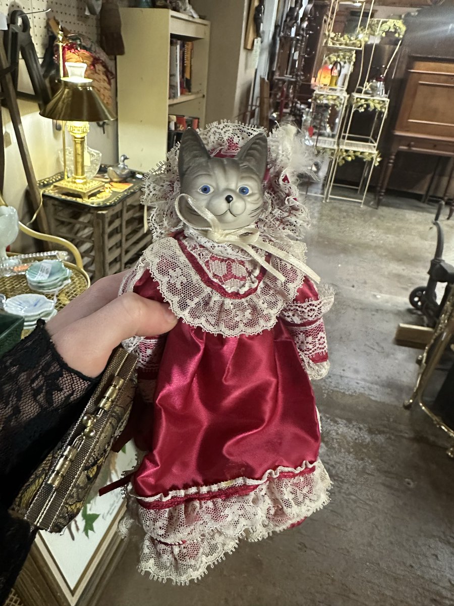 posabule's tweet photo. thrifted the best creepy cats today 🐈 https://t.co/poZIjQcplJ