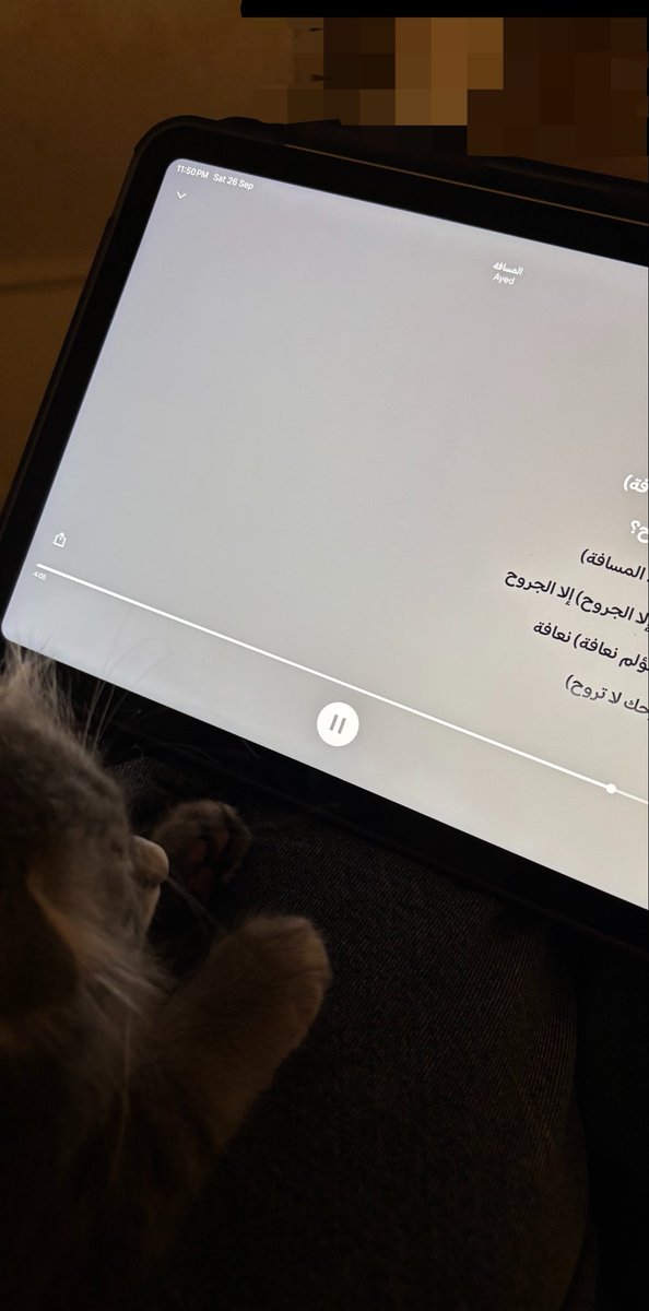 dxxii_10's tweet photo. كلنا ي ليلو☹️ https://t.co/ceqHcLNPGp