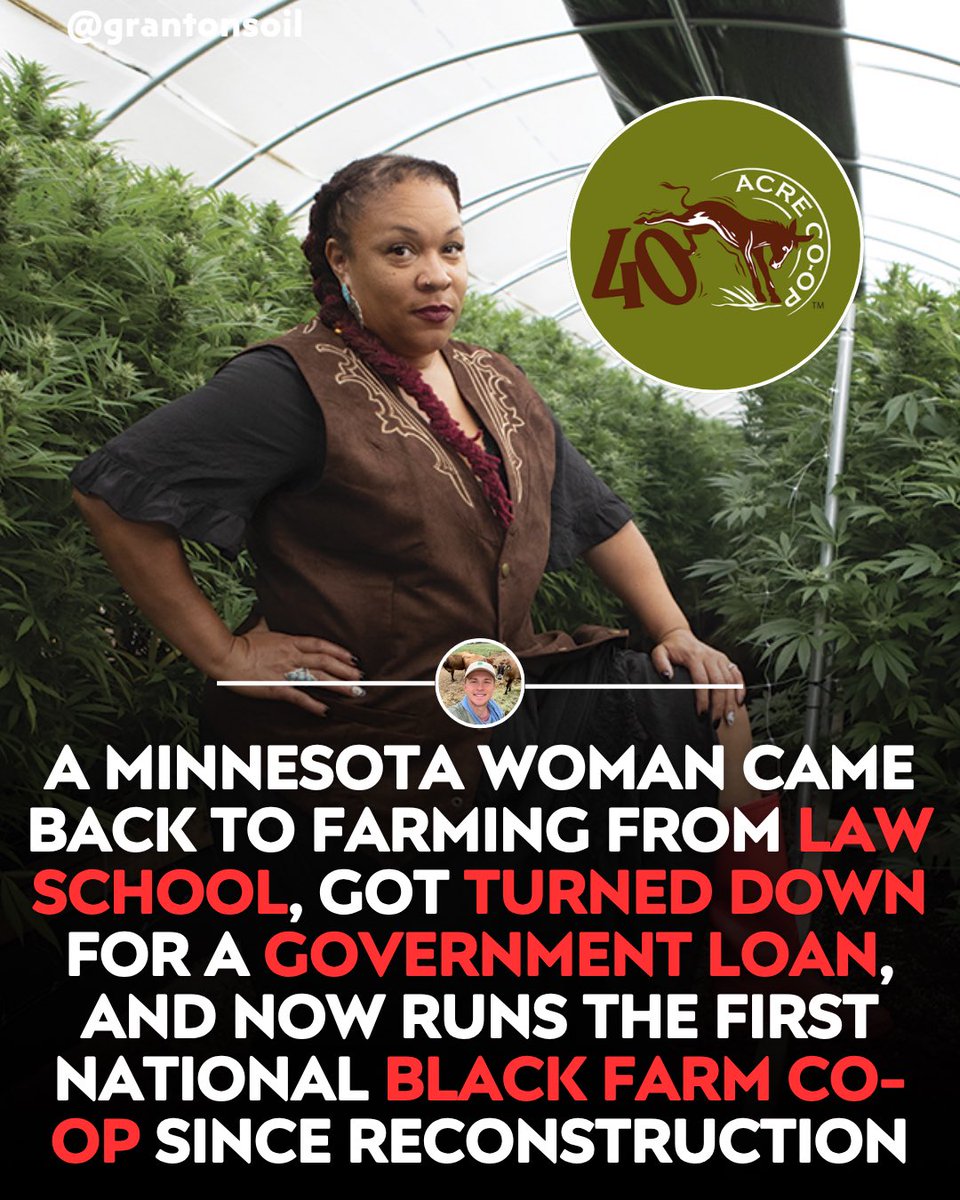 grantonsoil's tweet photo. A Minnesota farmer walked away from law school, got turned down for a government loan, and built a Black farmer co-op that now spans seven states.

Angela Dawson comes from a family that lost its Iowa farmland generations ago.

After a 2017 USDA loan fell through, she bought ground in Sandstone and started 40 Acre Co-op the next year.

It now counts close to forty farmer members across those seven states.

Black owned farms growing near you are on Localize, waiting to be found.
Sources: KARE 11