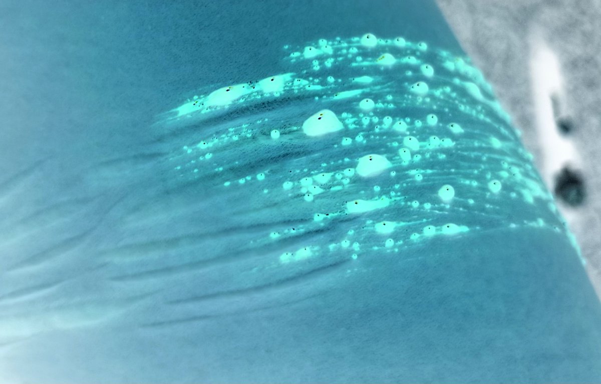 pinkbloodstainz's tweet photo. sfx makeup cant go deeper or i get my ass beat https://t.co/XDYDwoGLuQ