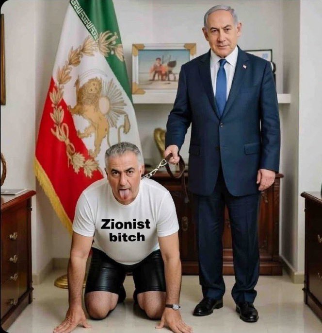 Nima262267's tweet photo. @ak_ar3hi @NYCMayor @drpezeshkian Nothing more pathetic than a monarchist that's willing to betray their own country just so they can be ruled by an unemployed bum who can’t even manage his own wife. 😂 https://t.co/YfV3jMPnzq