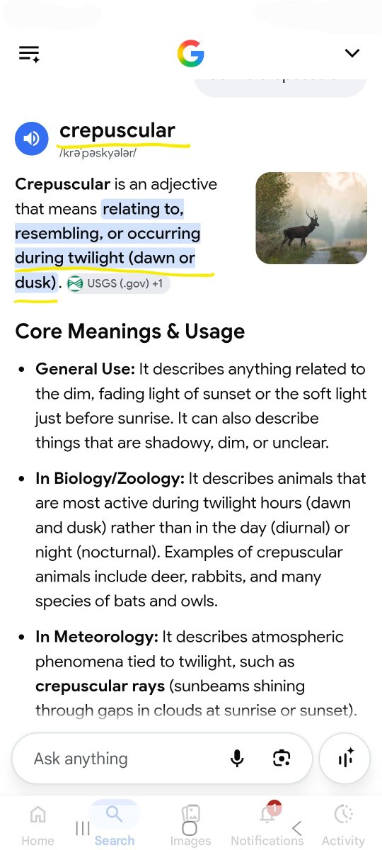 RodL17W's tweet photo. Strongs 4407. próinos used in Revelation 22/16
Definition Morning 
pertaining to the dawn, i.e. matutinal morning 
at early morning
day, morning, breaking. https://t.co/RLxDExG097