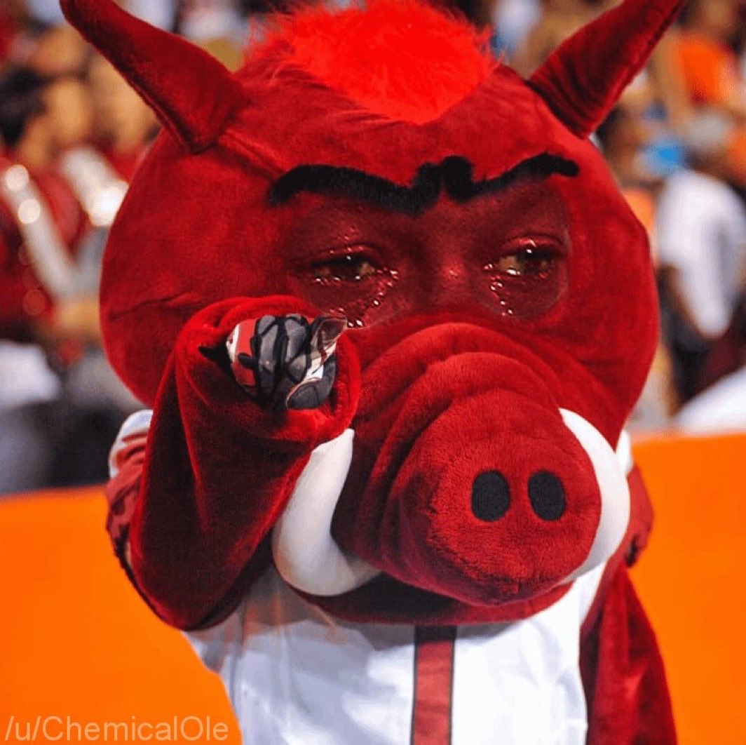 MightyMallard50's tweet photo. @ArkRazorbacks https://t.co/EmhroZYtLb
