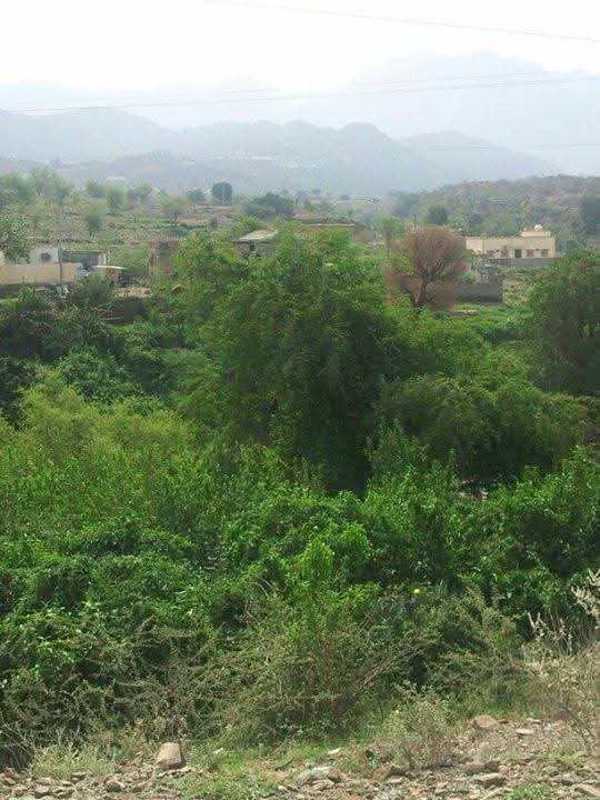 mohameed1691's tweet photo. صور من رحلتي الى هروب منذ13سنه https://t.co/7acEHe3lNE