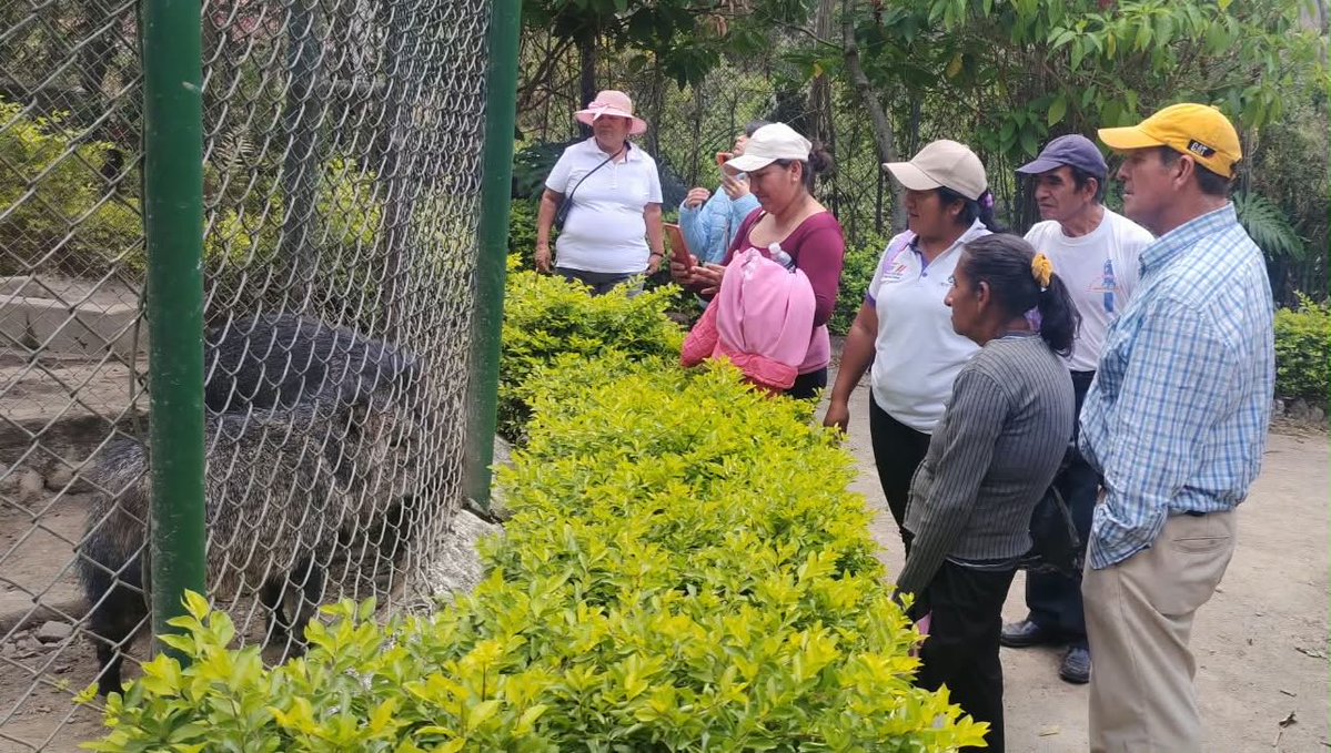 Zona7mtdh's tweet photo. 📍 #Loja | Durante una salida pedagógica, personas con discapacidad usuarias de los servicios del MTDH, en convenio con el GAD Municipal de Catamayo, disfrutaron de actividades recreativas que promovieron su bienestar. 🙌💜

#MTDHEnTerritorio
#GobiernoDelEcuador https://t.co/OPjMuIbncR