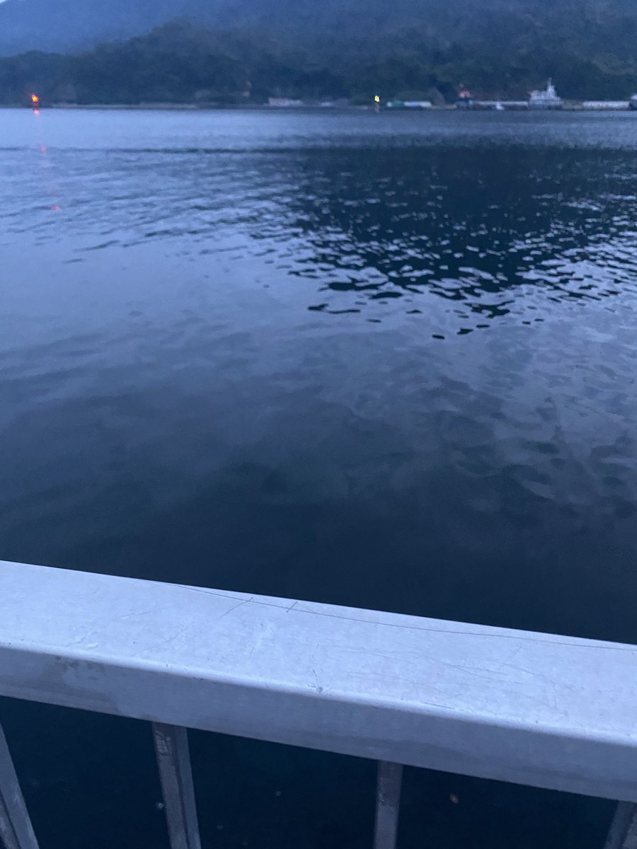 raigekiakamaru's tweet photo. さて、激流のようなんだが😇#ハヤブサワークス #雷撃カンツキウキ #チヌ #フカセ釣り https://t.co/vNF0lnkOVq