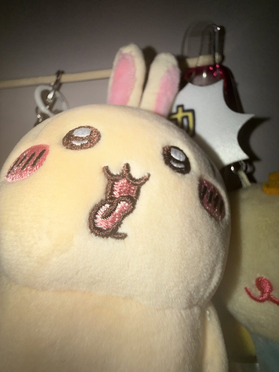 Kurisagisa's tweet photo. 이 돼지토기 우사기놈
엄청 말랑하고 쫀쫀하고 귀여유ㅓ https://t.co/5exhzliUXK