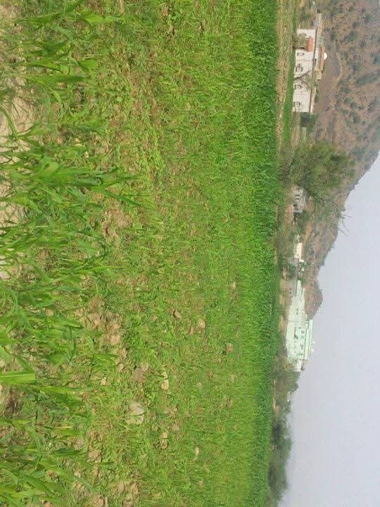 mohameed1691's tweet photo. صور من رحلتي الى هروب قبل 13سنه https://t.co/qaX3m88mtS