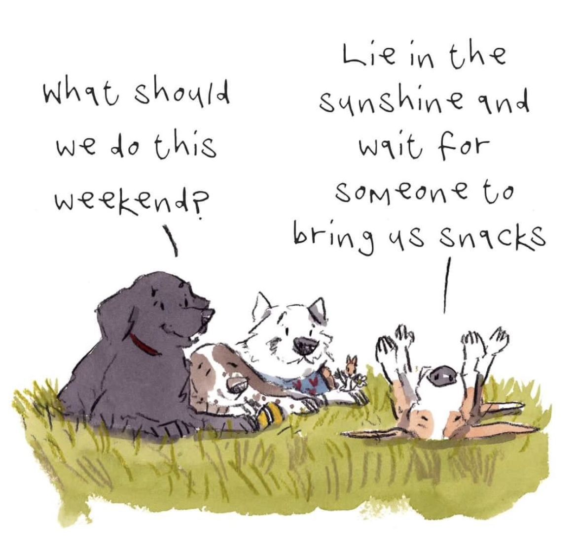 ShadowDogDesign's tweet photo. What should we do this #weekend?
Lie in the #sunshine and wait for someone to bring us #snacks. art by Iain Welch
#Dog #Dogs #FunnyDogs #BestFriend #GoodDog #FaithfulFriend #LoveDogs #DogsAreLove https://t.co/X2FUQvd2wf