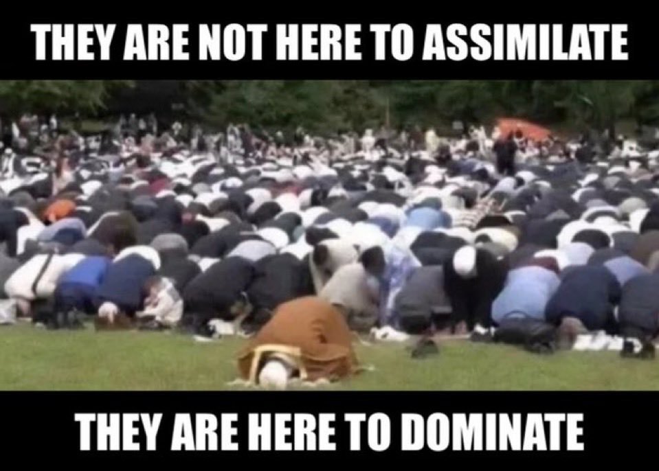 unholyseer's tweet photo. @TRobinsonNewEra https://t.co/F2eAt64KqP