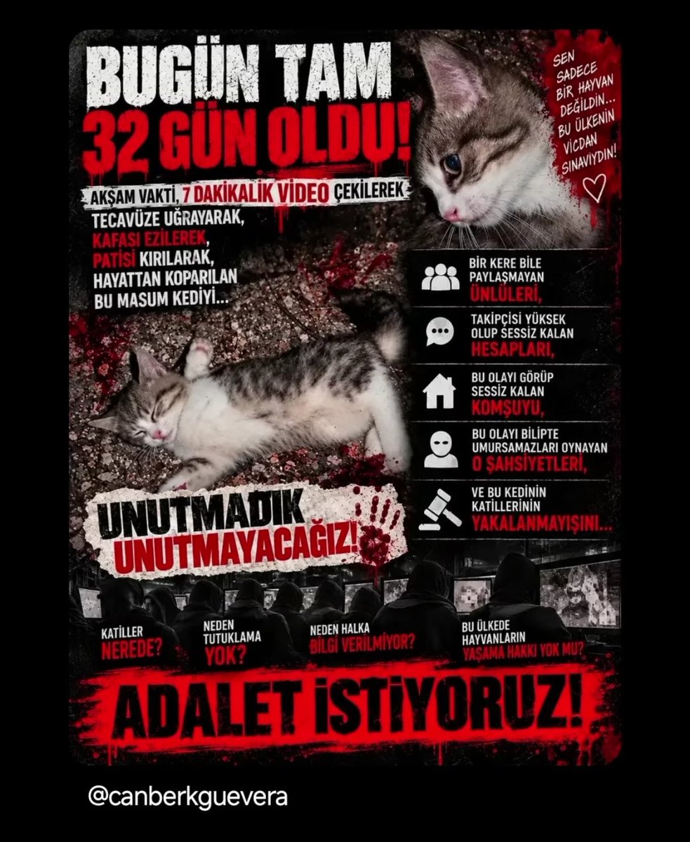 AyeglAk90393304's tweet photo. Neden bulunamıyor!!!!!!!
Neden bulunamıyor!!!!!!
Neden bulunamıyor!!!!!
Neden bulunamıyor!!!!!
Neden bulunamıyor!!!!
Neden bulunamıyor!!!!
Bulunmamasının sebebi nedir?????
Bulunmamasının sebebi nedir????
#miniğiunutma 
#yavrukediiçinadalet 
#canlarinhesabisorulsun https://t.co/AzFoRoPQZ7