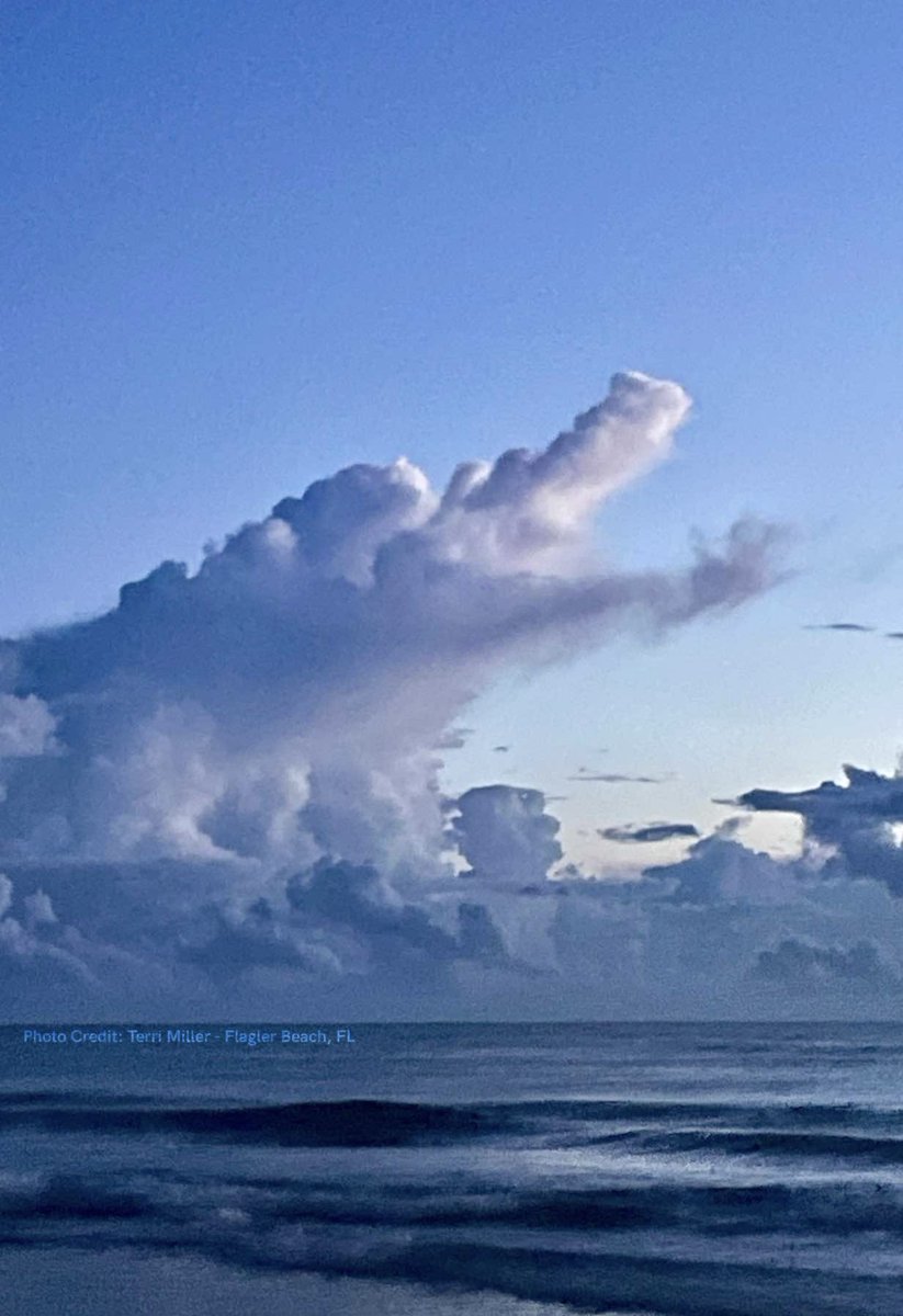 MattDevittWX's tweet photo. HOW COOL IS THIS?! Gator cloud spotted along Flagler Beach. Doesn’t get anymore Florida than that! Credit: Terri Miller 🐊 https://t.co/z1AN9TMNkY