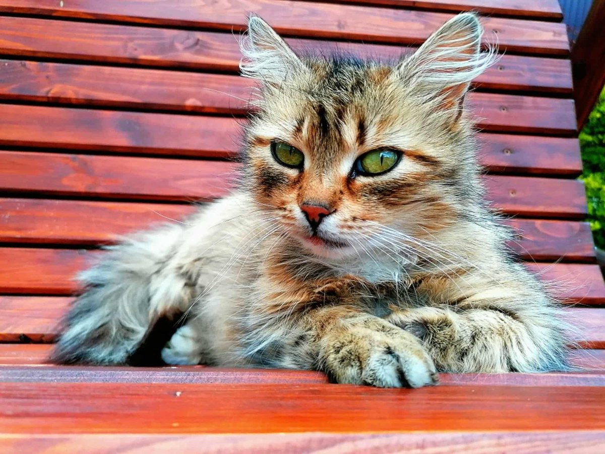 sabbivx's tweet photo. @reddievandort Ruda i Majcia https://t.co/mn00NpayTp