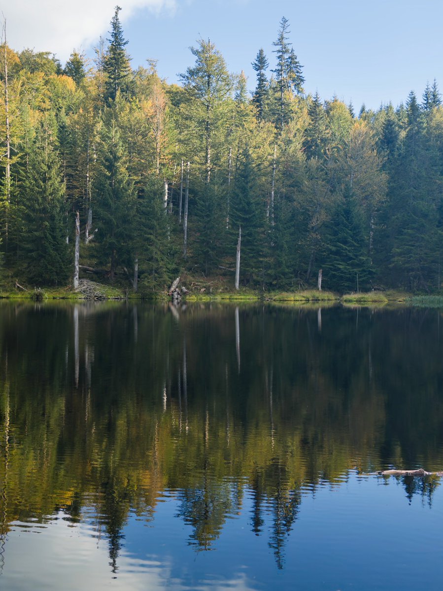 shamikr's tweet photo. Three days in the Bavarian Forest National Park with our #EcoRes group - sharing ideas, exploring new directions, and enjoying some time together beyond the usual routine. 🌲🥾 https://t.co/U7UDTtasHJ