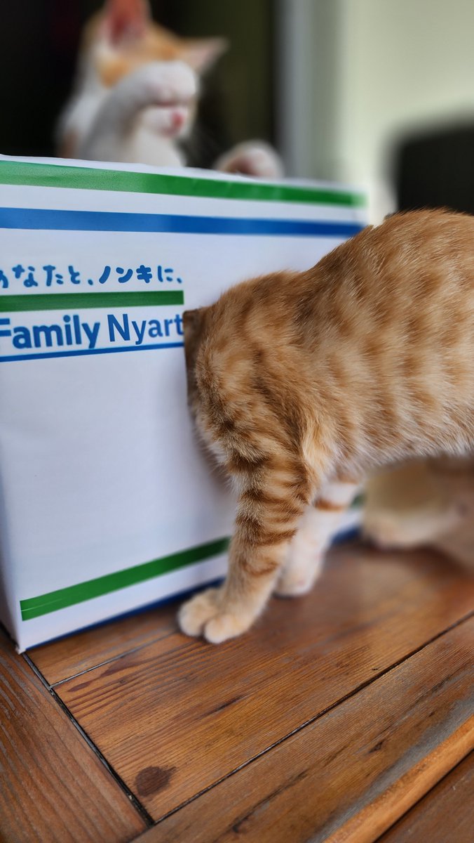 Shinchan_ISCATZ's tweet photo. よ!
やってるかい?

で顔から来るタイプ https://t.co/pRlCYysCGa