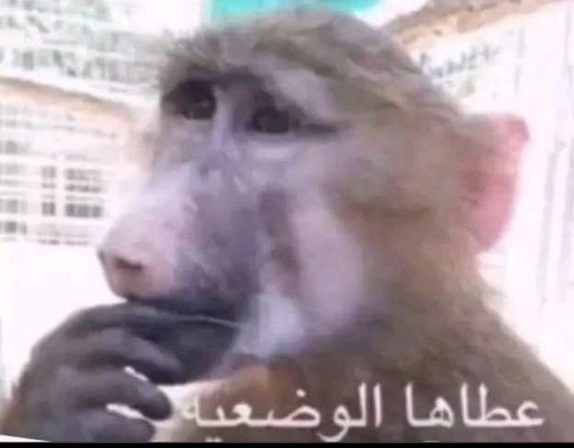 idkhonestlyq's tweet photo. اختي تطالع المباراه وتصرخ بااااااونتي
قصدها بلنتي https://t.co/PDCycWuz2e