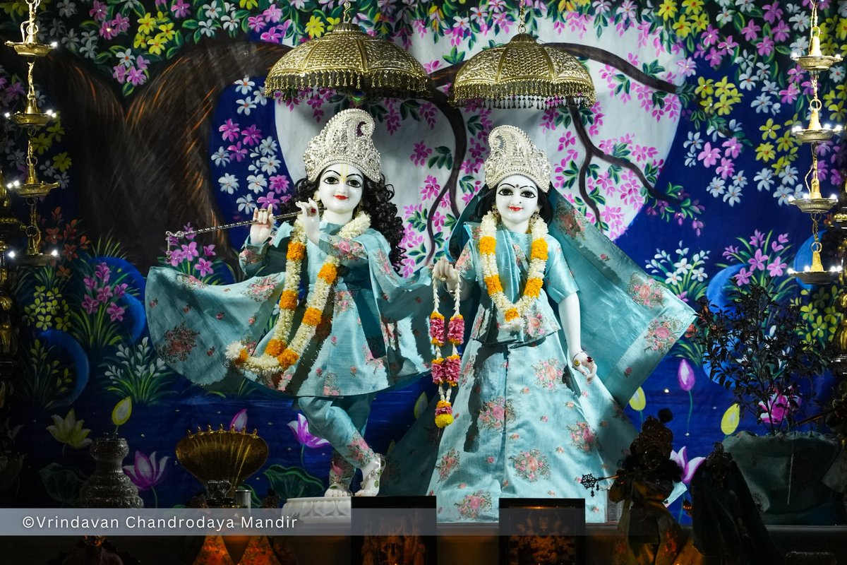 VCMVrindavan's tweet photo. Tonight's Shayana Darshan of Sri Radha Vrindavanchandra - 26 Sep 2026 

#vrindavan #vrindavanchandrodayamandira #Krishna #Radha https://t.co/1vhLzYzIJt