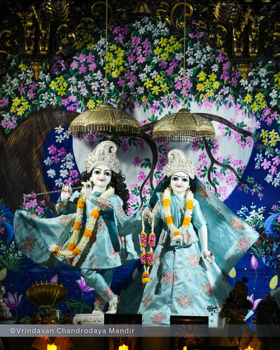VCMVrindavan's tweet photo. Tonight's Shayana Darshan of Sri Radha Vrindavanchandra - 26 Sep 2026 

#vrindavan #vrindavanchandrodayamandira #Krishna #Radha https://t.co/1vhLzYzIJt