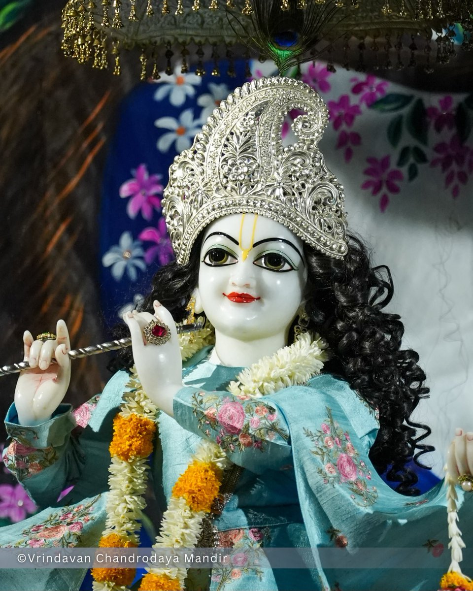 VCMVrindavan's tweet photo. Tonight's Shayana Darshan of Sri Radha Vrindavanchandra - 26 Sep 2026 

#vrindavan #vrindavanchandrodayamandira #Krishna #Radha https://t.co/1vhLzYzIJt