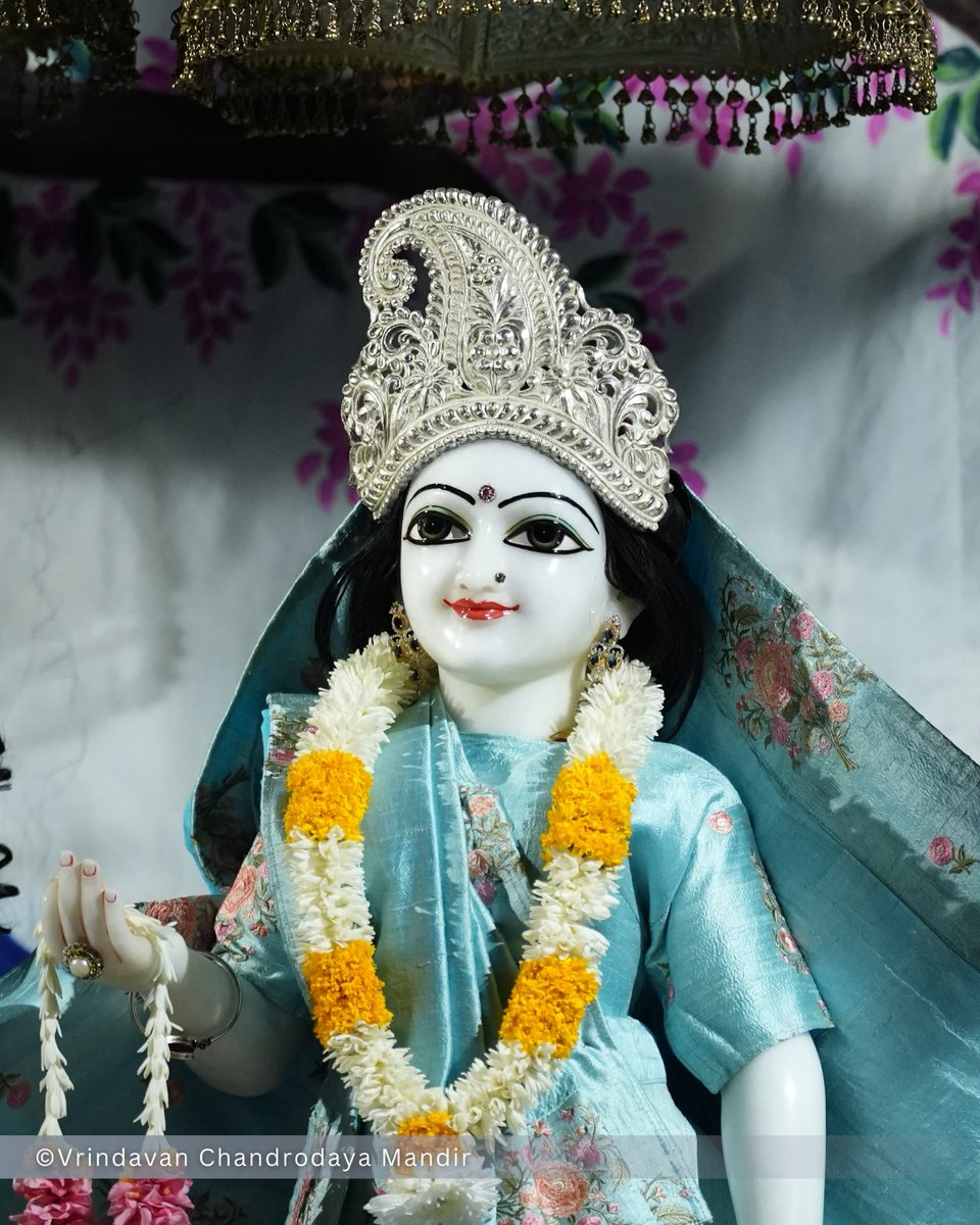 VCMVrindavan's tweet photo. Tonight's Shayana Darshan of Sri Radha Vrindavanchandra - 26 Sep 2026 

#vrindavan #vrindavanchandrodayamandira #Krishna #Radha https://t.co/1vhLzYzIJt