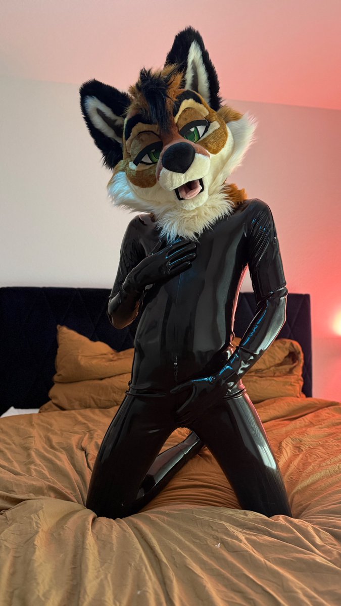 Tekula_wolf2's tweet photo. There is a shiny wuff on your bed. What do you do?!?! 

📸: @dexteritylol 

#shinysaturday #squeakysaturday #latexfur https://t.co/d9Qe0xpFGM