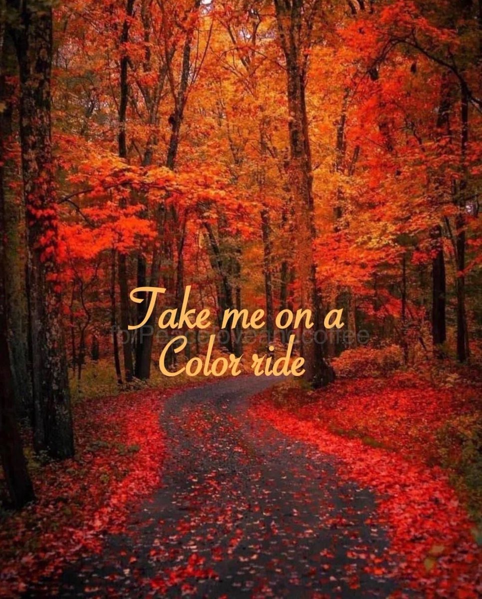tpjrm tweet picture