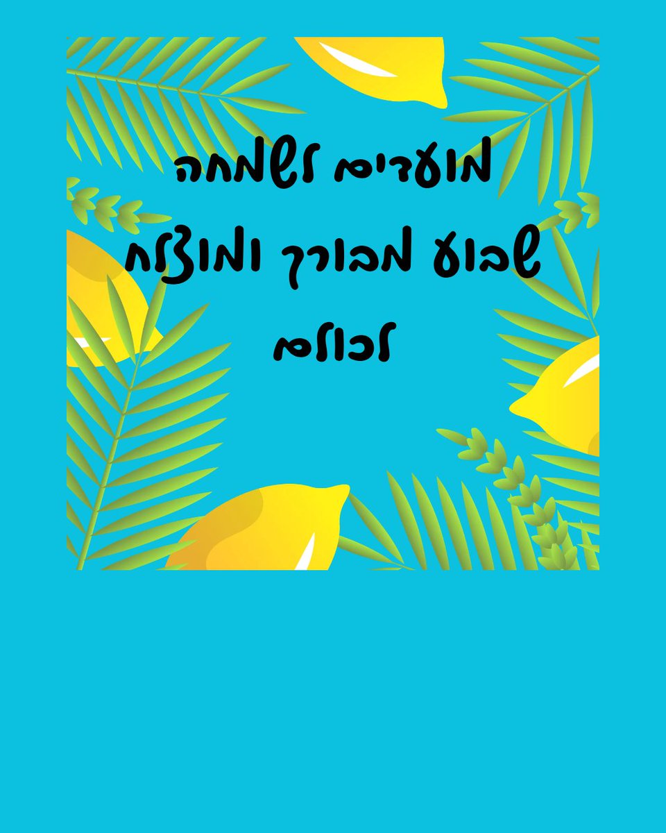 almogsarusi36's tweet photo. https://t.co/MKXLgSyD8p