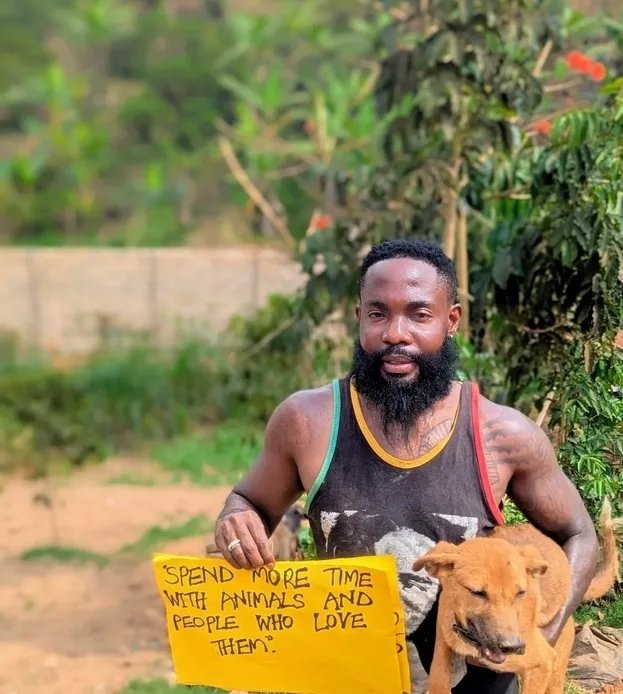SAFE_PAL_SHELTE's tweet photo. Hungry bellies need your help!Donate dog food today and make a difference in a stray’s life. Every bowl counts! #FeedTheStrays https://t.co/GeyU4JQ5Ul