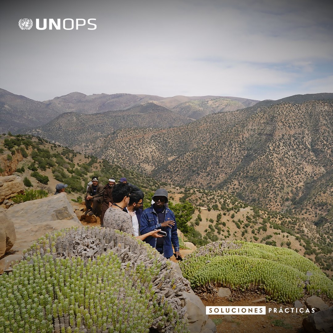 UNOPS_es's tweet photo. Las acciones locales pueden marcar la diferencia a nivel mundial.

Durante más de 30 años, el Programa de Pequeños Subsidios de @theGEF ha ayudado a las comunidades a hacer frente al cambio climático, proteger los ecosistemas y mejorar sus medios de vida.

https://t.co/zWWGnTsNST https://t.co/MDtu84WOEB