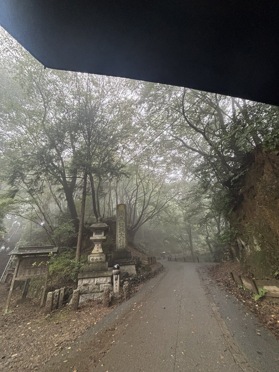 bvil_3's tweet photo. 高尾山⛰️ https://t.co/m1iQ7XFFvG